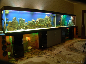 Изготовление аквариумов на заказ - Изображение #3, Объявление #338086