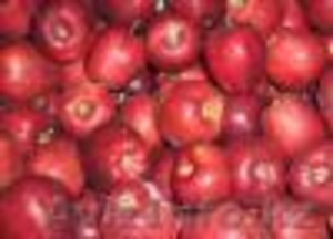  Яблоки	Овоще-бахчевые культуры  - Изображение #1, Объявление #390843