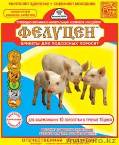 Удобрения и все для с/х животных.