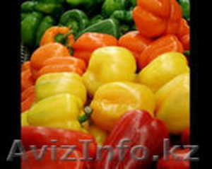 Семена овощей:лука,моркови,свеклы,капусты,корамовых - Изображение #1, Объявление #597616