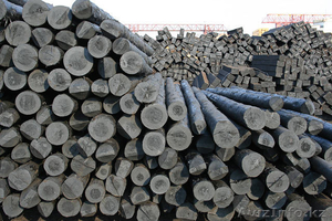 Не пропитанные,  неокоренные столбы ЛЭП