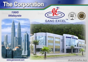 Самая стабильная сетевая компания со щедрым маркетингом в Казахстане