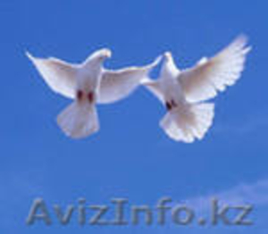 Приворот на супруга.Гадание Таро.