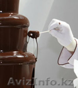 Шоколадный фонтан и Фонтан для вечеринок  - Изображение #1, Объявление #756978