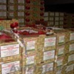 arab group for investment and development