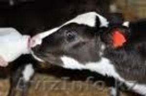  завод цех  линия ЗЦМ 2-10 тонн в час под ключ!