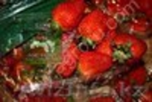 fruits and vegetables from Egypt - Изображение #1, Объявление #792244