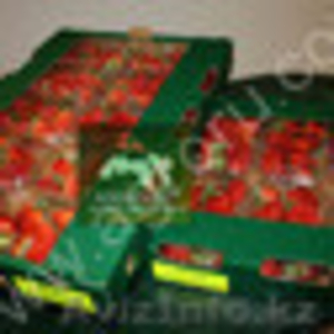 клубникa from Egypt