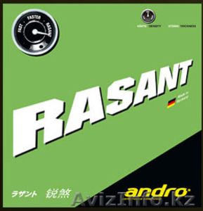 Настольный теннис: накладка Andro Rasant  - Изображение #1, Объявление #807202
