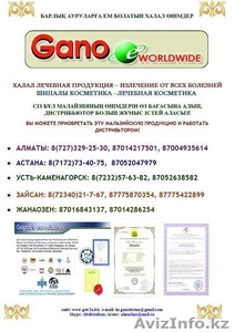 Представительство GANO eWorldwide в Казахстане - Изображение #2, Объявление #814838