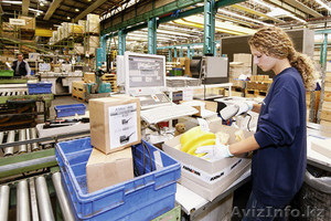 Поставка и продажа запчастей на технику AMMANN