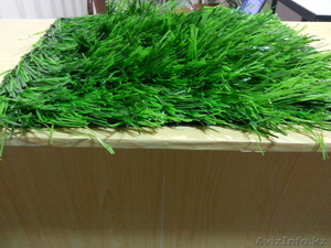 Искусственный газон 2400 тенге кв.м НАШ Адрес г.Астана