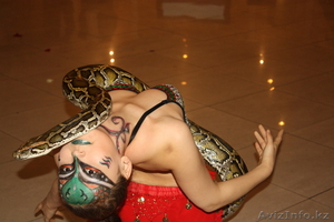 Экзотический танец со змеей и огнем - Изображение #2, Объявление #891756