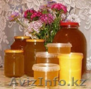 Продаем натуральный Алтайский мед!!!недорого - Изображение #1, Объявление #879891