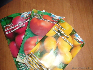 Продам распикированную рассаду помидоров - Изображение #1, Объявление #894558