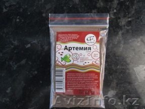 Продам корма для аквариумных рыбок