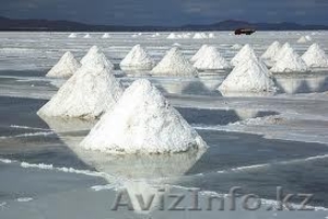 Пищевая соль оптом купить в Казахстане - Изображение #1, Объявление #927536