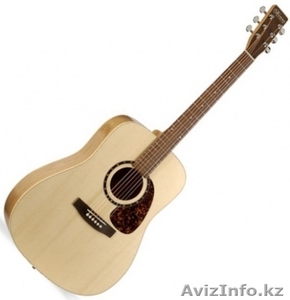 Продам Канадскую гитару!