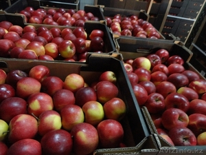 AL-DA Sp.J  Alicja Leszko, Dariusz Basiak