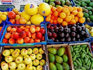 Доставка овощи фрукты и продукты питания - Изображение #1, Объявление #1130474