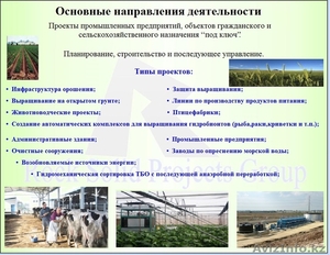 Строительство тепличных комплексoв. 