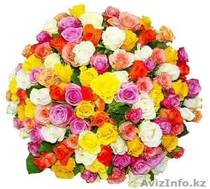 Продажа разноцветных роз в Астане(от 25 штук) - Изображение #1, Объявление #1176090