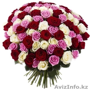 25-101 роза любых растовок - Изображение #1, Объявление #1176146