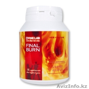 Японский сжигатель жира Final Burn