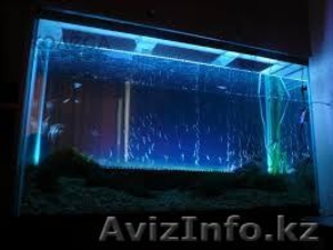 аквариумы на заказ - Изображение #2, Объявление #1227207