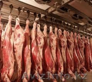 ищем поставщиков мяса туши, п/туши - Изображение #1, Объявление #1223934