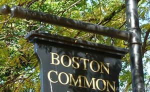 Языковые курсы "Boston Common" - Изображение #1, Объявление #1277717