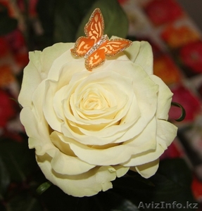 Продам набор "Флористические бабочки" для цветов - Изображение #1, Объявление #1278338