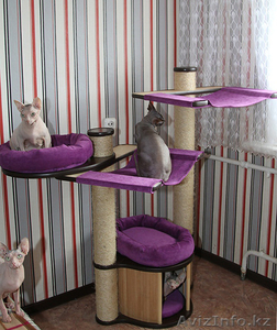 Современные домики для кошек, когтеточки, лазалки, игровые комплексы - Изображение #5, Объявление #1272689