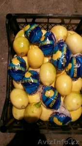 лимоны из Турции - Изображение #1, Объявление #1365391