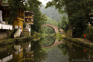 БЕСПЛАТНОЕ образование зарубежом - Китай