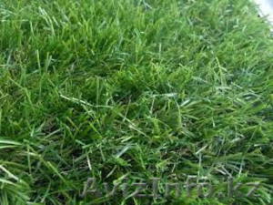Искусственная трава продам   - Изображение #1, Объявление #1445445