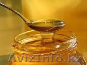 Продукты пчеловодства мед,прополис,маточное молочко,пыльца - Изображение #1, Объявление #1470465