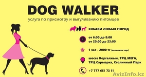 Выгуливание собак - Изображение #1, Объявление #1482948