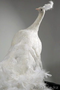 Продам 2 белых павлина для декора - Изображение #2, Объявление #1594279