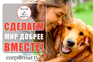 Оказываем информационную поддержку волонтерам и не только