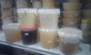 Продам мед разных сортов - Изображение #1, Объявление #1629244