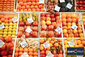 East-fruit.com приглашает к сотрудничеству участников плодоовощного рынка - Изображение #1, Объявление #1635360