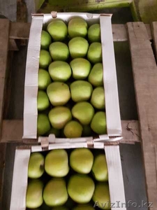 Продам оптом яблоки  - Изображение #1, Объявление #1638714