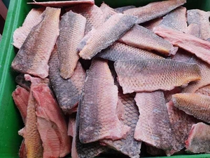Рыбные филе судака, сазана и др. оптом бесплатная доставка по Астане - Изображение #2, Объявление #1669313