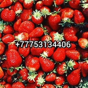 Kazahstan yagody Nursultan Qazaqstan Astana Ovoshy frukty Астана ягоды овощи  Аб - Изображение #1, Объявление #1676188