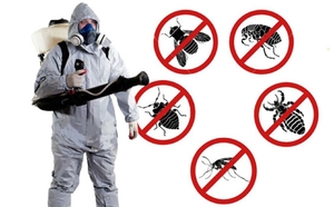 Уничтожение клопов, тараканов, комаров - Изображение #1, Объявление #1227813