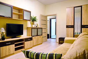 Аренда однокомнатной квартиры