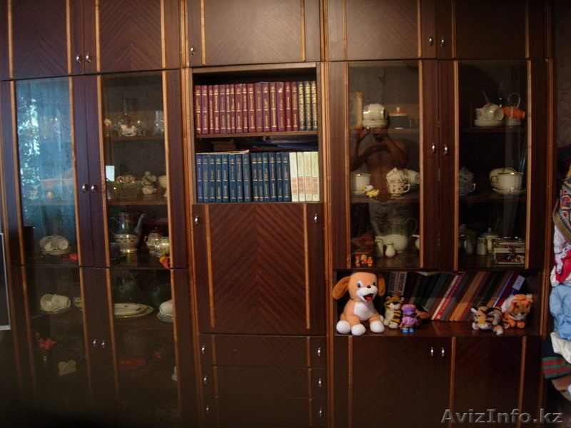 Стенка для библиотеки - Изображение #1, Объявление #46704