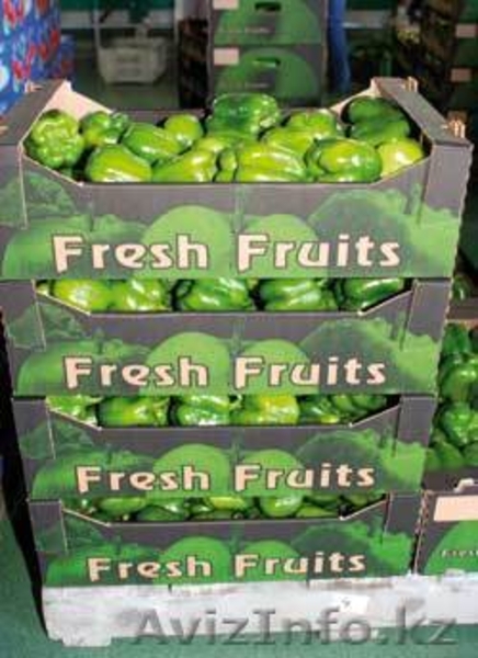 Польские помидоры и паприка крупным оптом  - Изображение #1, Объявление #54343