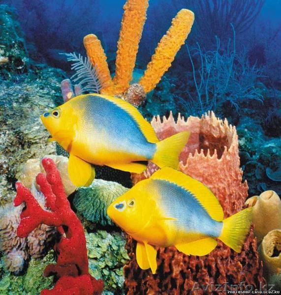 КАЗТУР. Туры по самым выгодным ценам - Изображение #4, Объявление #78066